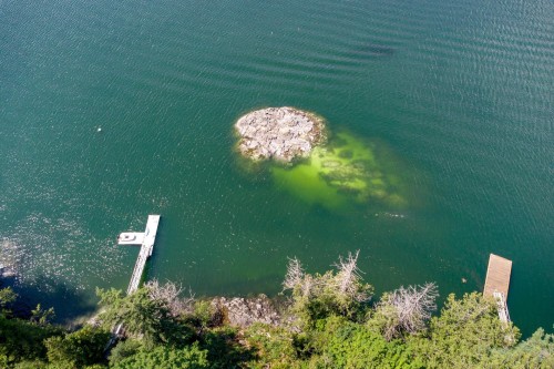 5225 Coombe Lane, Belcarra, BC - Outdoor With Body Of Water