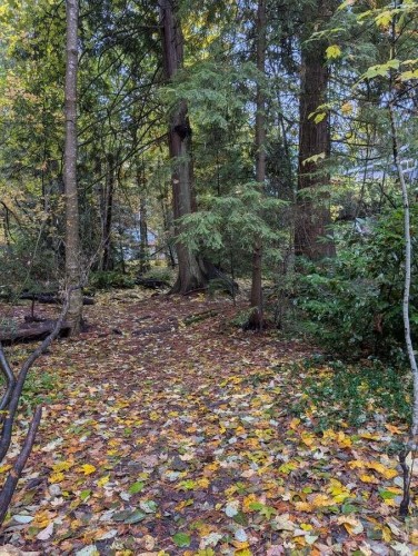 1498 Chamberlain Drive, North Vancouver, BC 