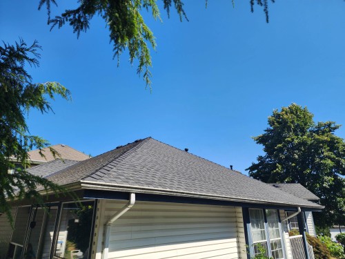 2805 Silverberry Court, Coquitlam, BC - Outdoor