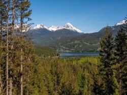 8377 Mountain View Drive Whistler, BC V8E 0G3