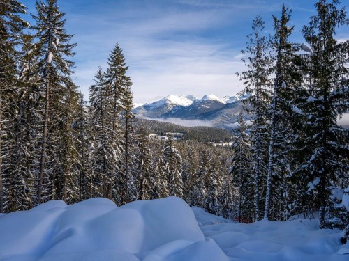 8377 Mountain View Drive, Whistler, BC 