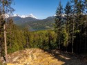 8377 Mountain View Drive, Whistler, BC 