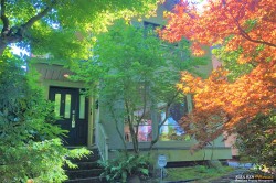 4396 11th Avenue W Vancouver, BC V6R 2M1