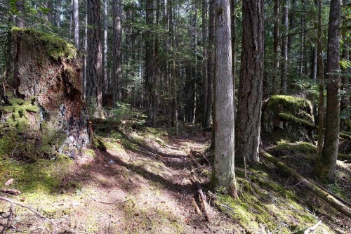 11832 Sunshine Coast Highway, Pender Harbour, BC 