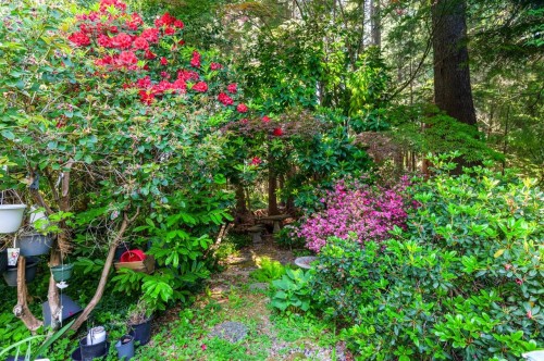 5261 Cliffridge Avenue, North Vancouver, BC 