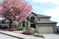 1269 Erskine Street  Coquitlam, BC V3B 6Y1