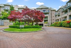 316-301 Maude Road  Port Moody, BC V3H 5B1