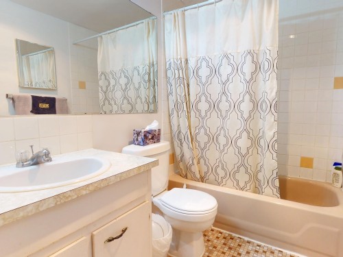 112-1000 King Albert Avenue, Coquitlam, BC - Indoor Photo Showing Bathroom