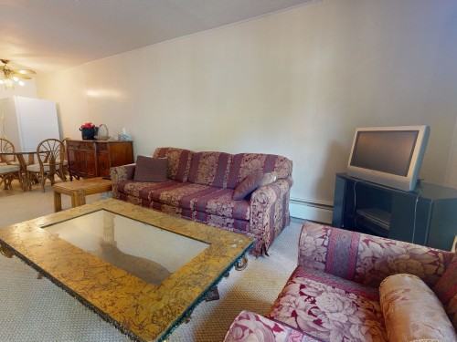 112-1000 King Albert Avenue, Coquitlam, BC - Indoor Photo Showing Living Room