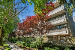 202-1867 West 3rd Avenue  Vancouver, BC V6J 1K9