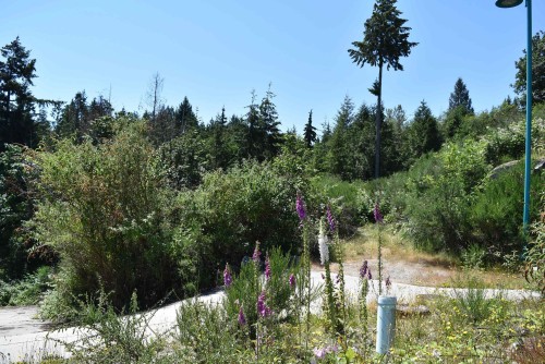 5828 Anchor Road, Sechelt, BC 