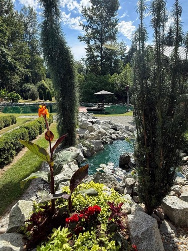 28675 98 Avenue, Maple Ridge, BC 