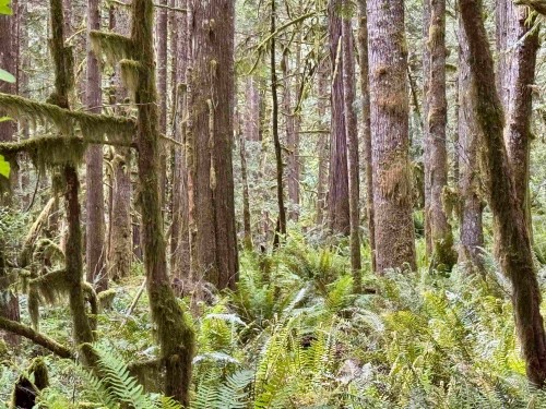 7425 Sechelt Inlet Road, Sechelt, BC 