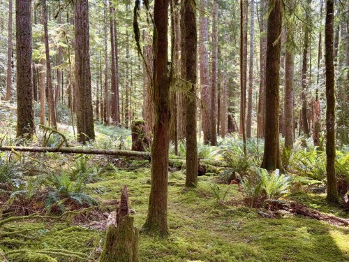 7425 Sechelt Inlet Road, Sechelt, BC 