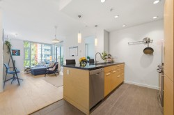 403-2528 Maple Street  Vancouver, BC V6J 0B5
