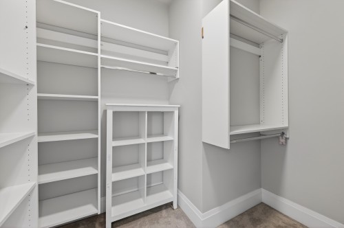 824 Chestnut Street, New Westminster, BC - Indoor With Storage