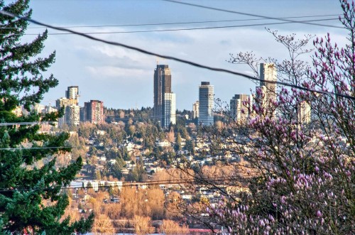 824 Chestnut Street, New Westminster, BC - Outdoor With View