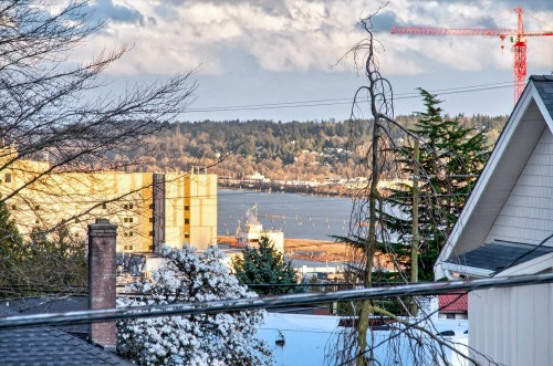 824 Chestnut Street, New Westminster, BC - Outdoor With View
