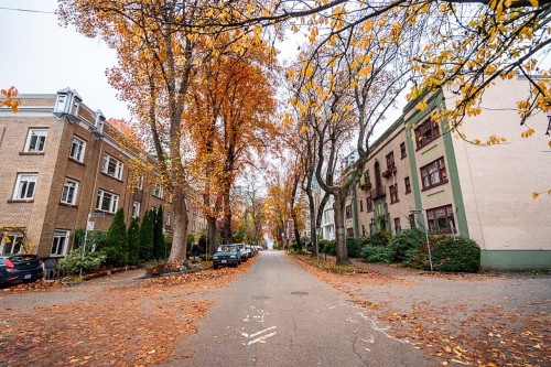 Ph5-936 Bute Street, Vancouver, BC 