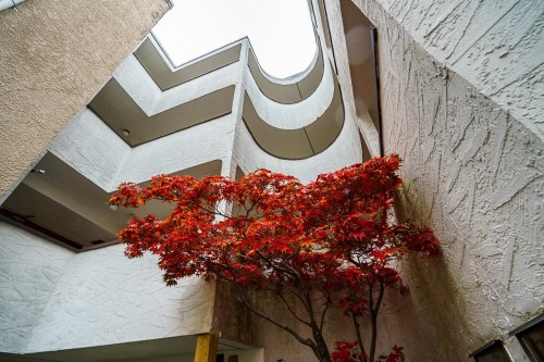 Ph5-936 Bute Street, Vancouver, BC 