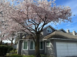 30-9731 Capella Drive  Richmond, BC V6X 3R1
