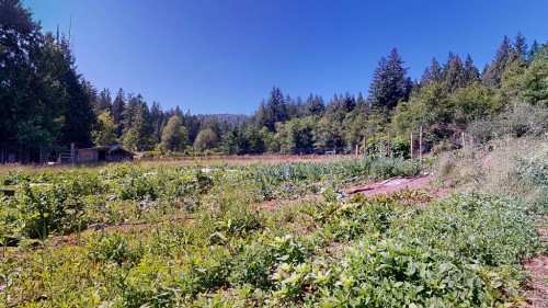 6104 Mason Road, Sechelt, BC 