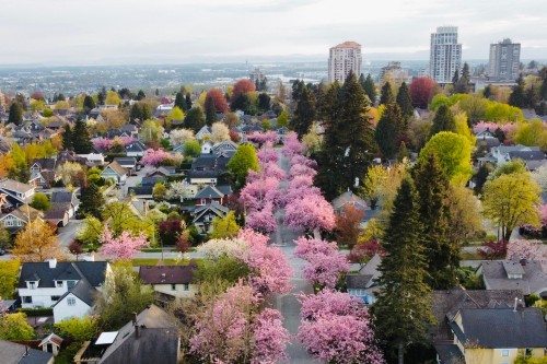 416 Second Street, New Westminster, BC 