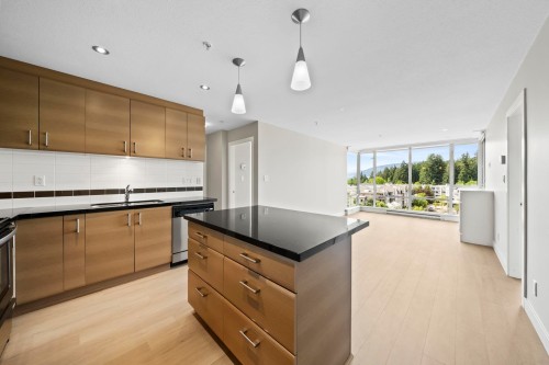 604-12079 Harris Road, Pitt Meadows, BC - Indoor Photo Showing Kitchen