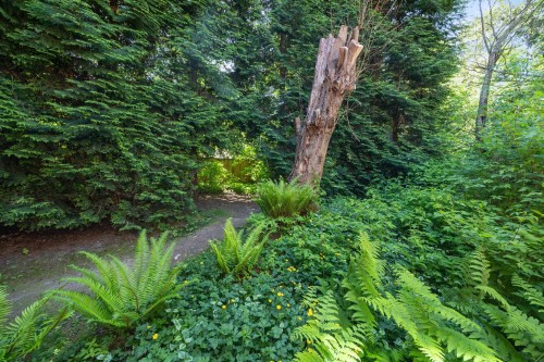 4384 Garden Grove Drive, Burnaby, BC 