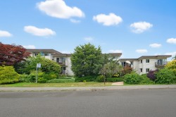 301-2125 2nd Avenue W Vancouver, BC V6K 1H7