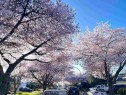 6800 Grant Place, Burnaby, BC 