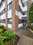 302-8020 Ryan Road  Richmond, BC V7A 2E5