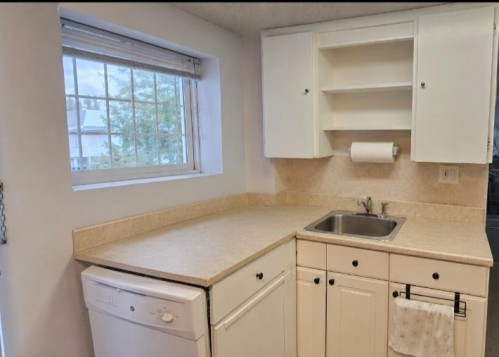 5350 Cecil Street, Vancouver, BC - Indoor Photo Showing Kitchen