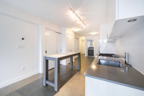 305-231 Pender Street E, Vancouver, BC 