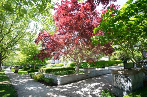225-5777 Birney Avenue  Vancouver, BC V6S 0A4