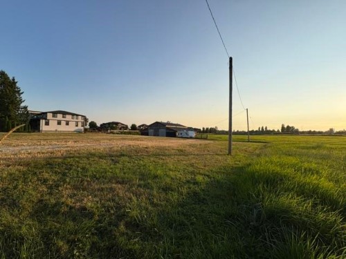 20111 Powell Avenue, Maple Ridge, BC 
