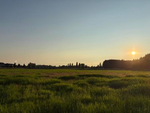 20111 Powell Avenue, Maple Ridge, BC 