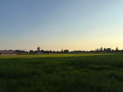 20111 Powell Avenue, Maple Ridge, BC 