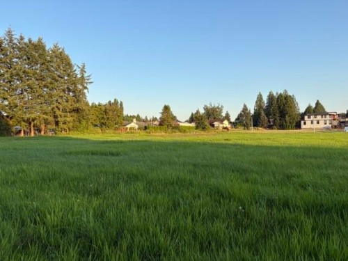 20111 Powell Avenue, Maple Ridge, BC 