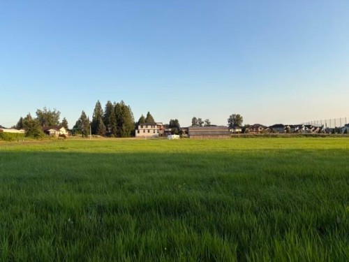 20111 Powell Avenue, Maple Ridge, BC 