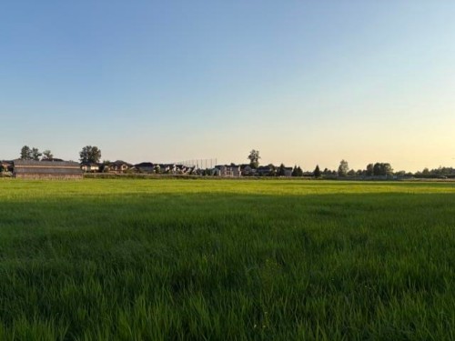 20111 Powell Avenue, Maple Ridge, BC 