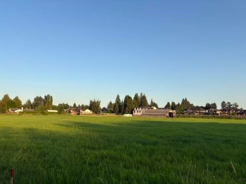 20111 Powell Avenue, Maple Ridge, BC 