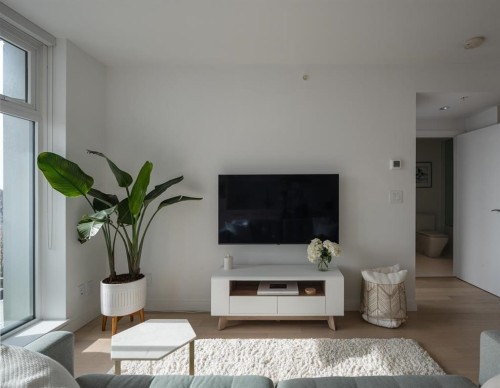 903-2221 30Th Avenue E, Vancouver, BC - Indoor Photo Showing Living Room