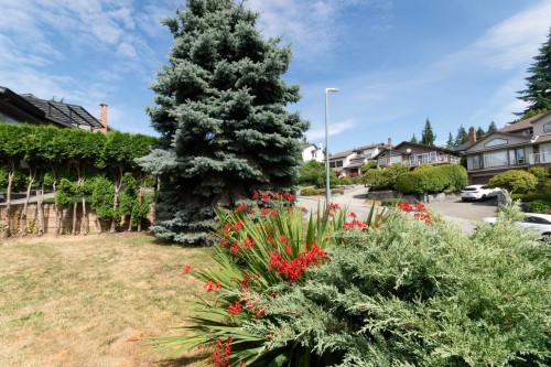 1410 Lansdowne Drive, Coquitlam, BC - Outdoor