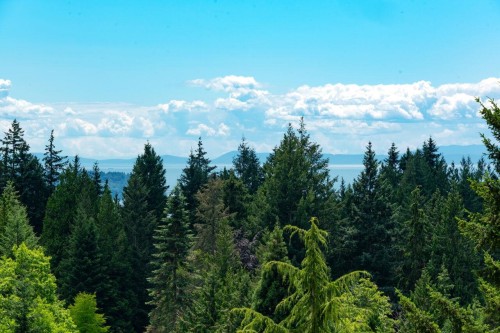 4895 Northwood Drive, West Vancouver, BC - Outdoor With View