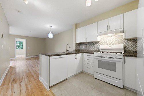 209-688 16Th Avenue E, Vancouver, BC - Indoor Photo Showing Kitchen