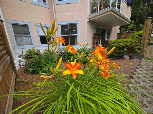 101-5565 Barker Avenue, Burnaby, BC - Outdoor