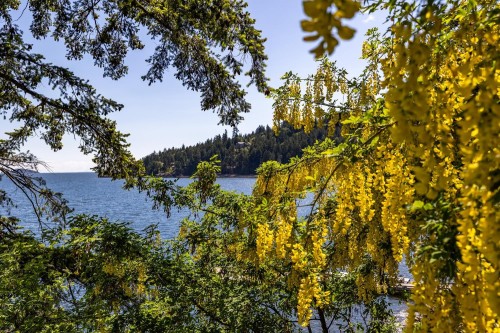 1475 Webb Road, Bowen Island, BC - Outdoor With Body Of Water With View