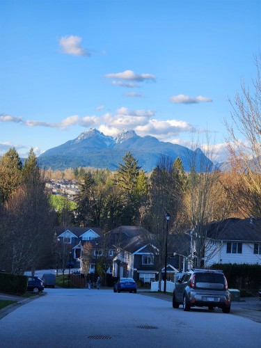 10680 239 Street, Maple Ridge, BC 