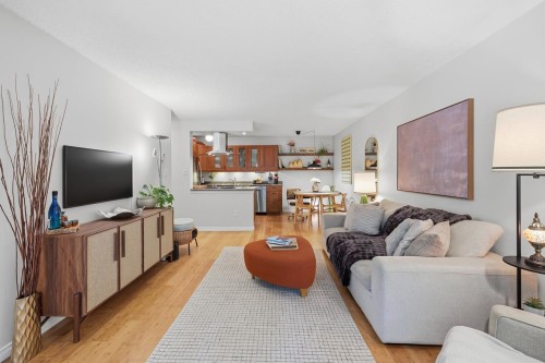 113-808 8Th Avenue E, Vancouver, BC 